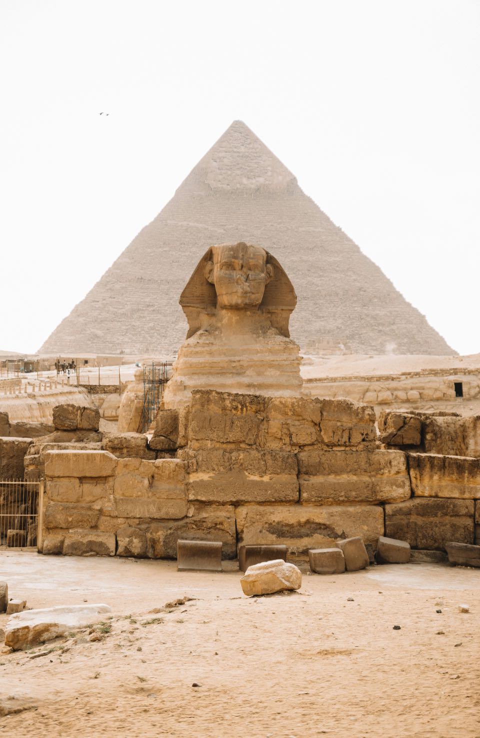 The Great Sphinx of Giza with a pyramid behind it, Egypt