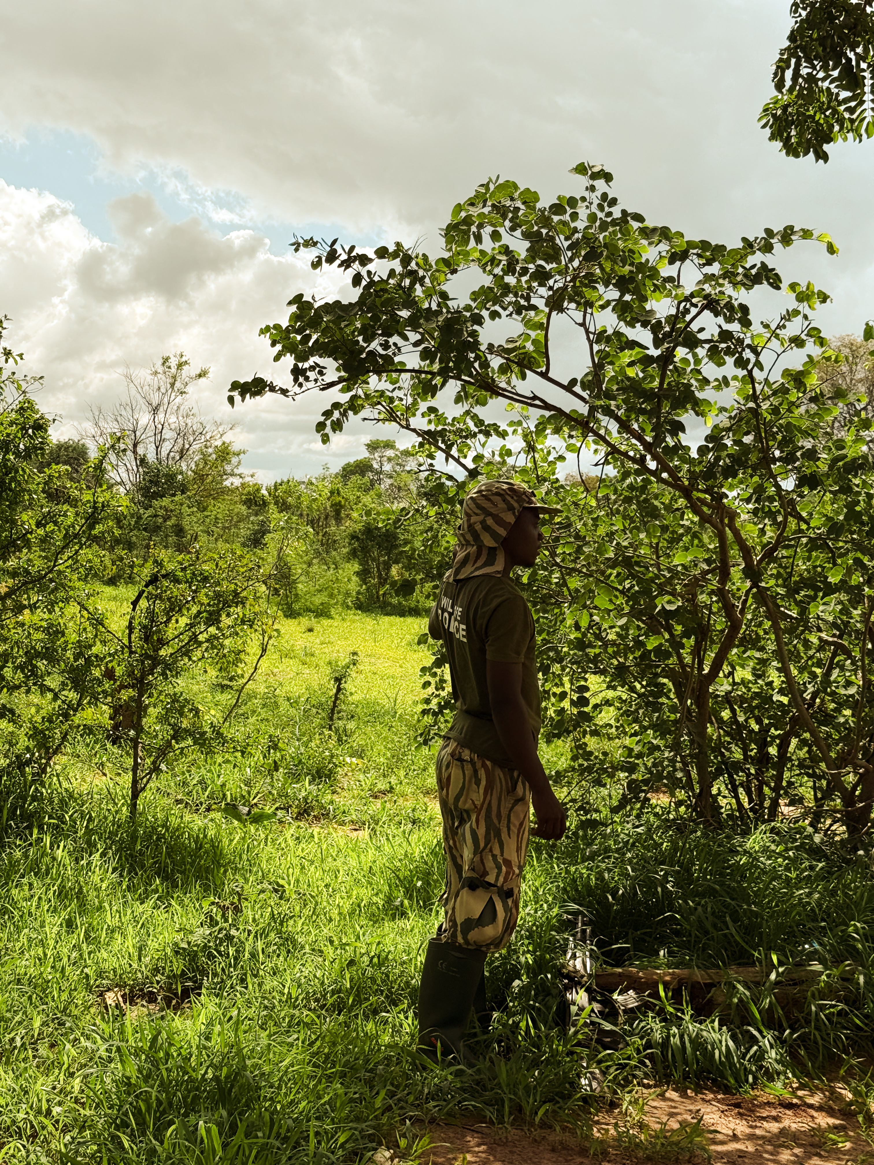 A wildlife scout standing in the bush during a rhino walk