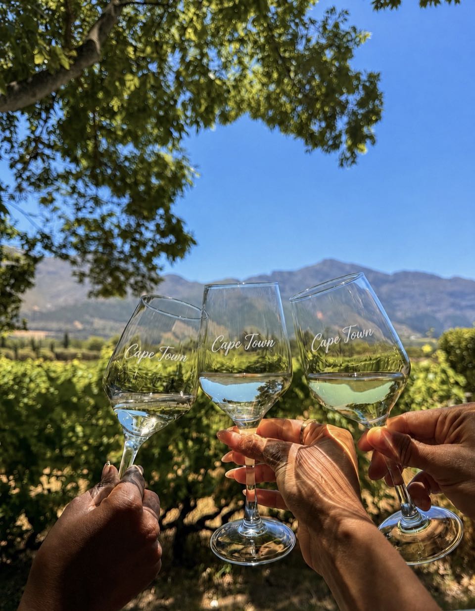 Wine glasses raised in a toast overlooking a vineyard and mountains