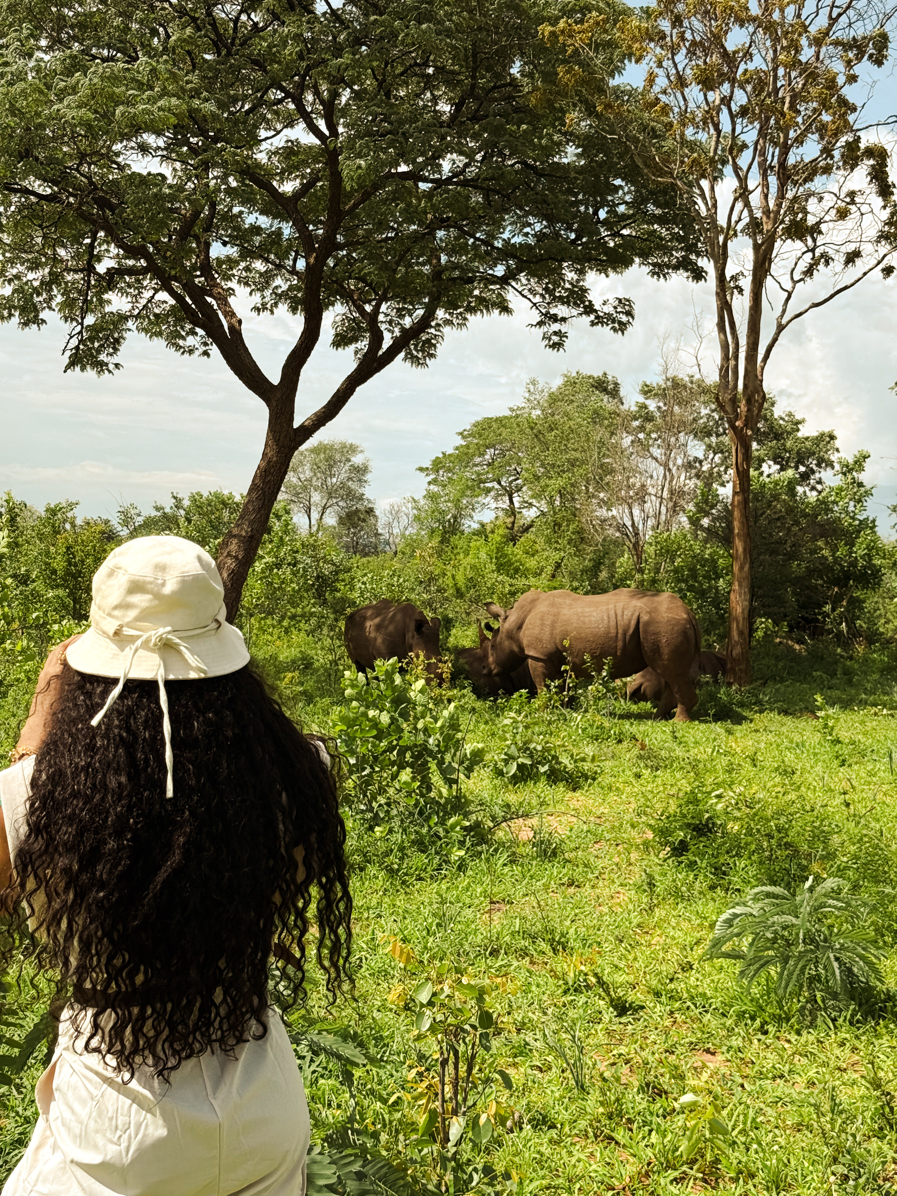 Traveller observing white rhinos in the bush